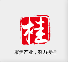 聚焦產(chǎn)業(yè)，努力援桂